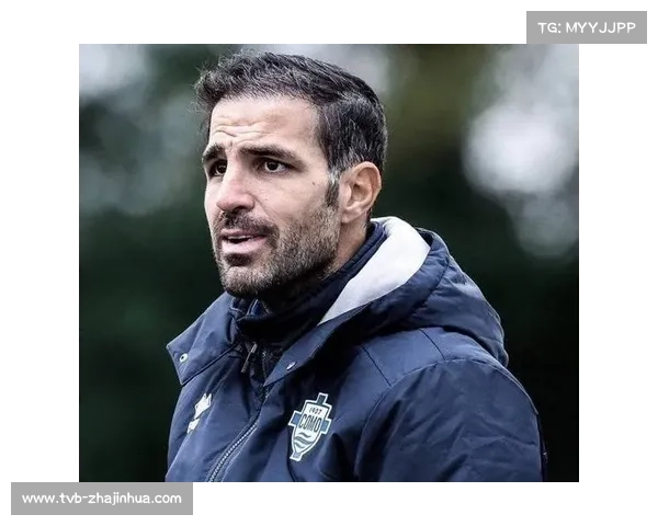 科莫队积17分排名第七 法布雷加斯执教表现稳健 科莫队积17分排名第七 法布雷加斯执教表现稳健